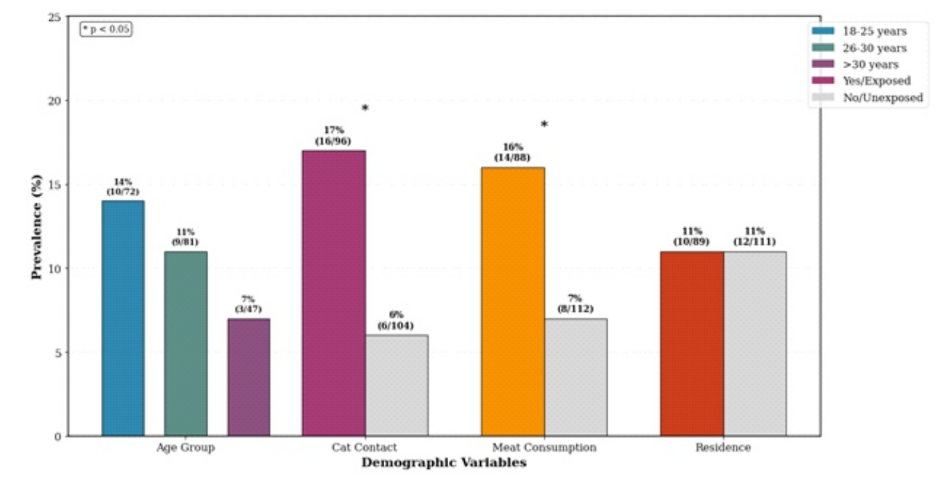 PCR-Based Molecular Detection of Toxoplasma gondii in Pregnant  Women: Maternal and Foetal Health Implications in Southern Iran