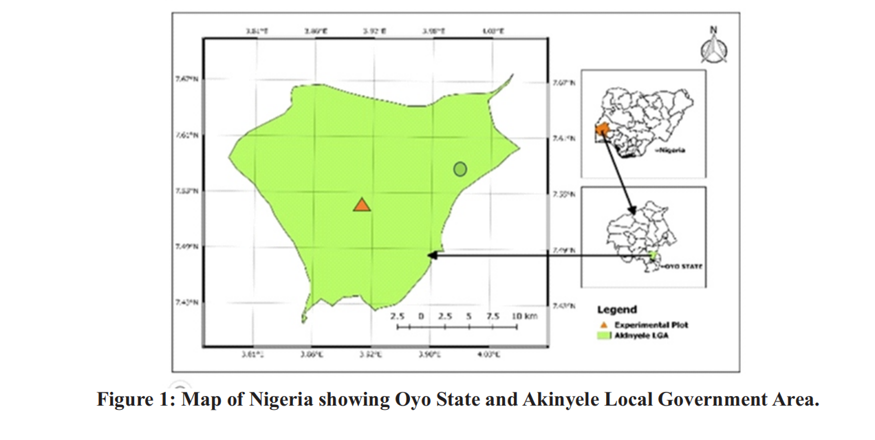 Occurrence of Endoparasites in Slaughtered Cattle at Amosun  Commercial Abattoir, Akinyele Local Government Area, Oyo State,  Nigeria.
