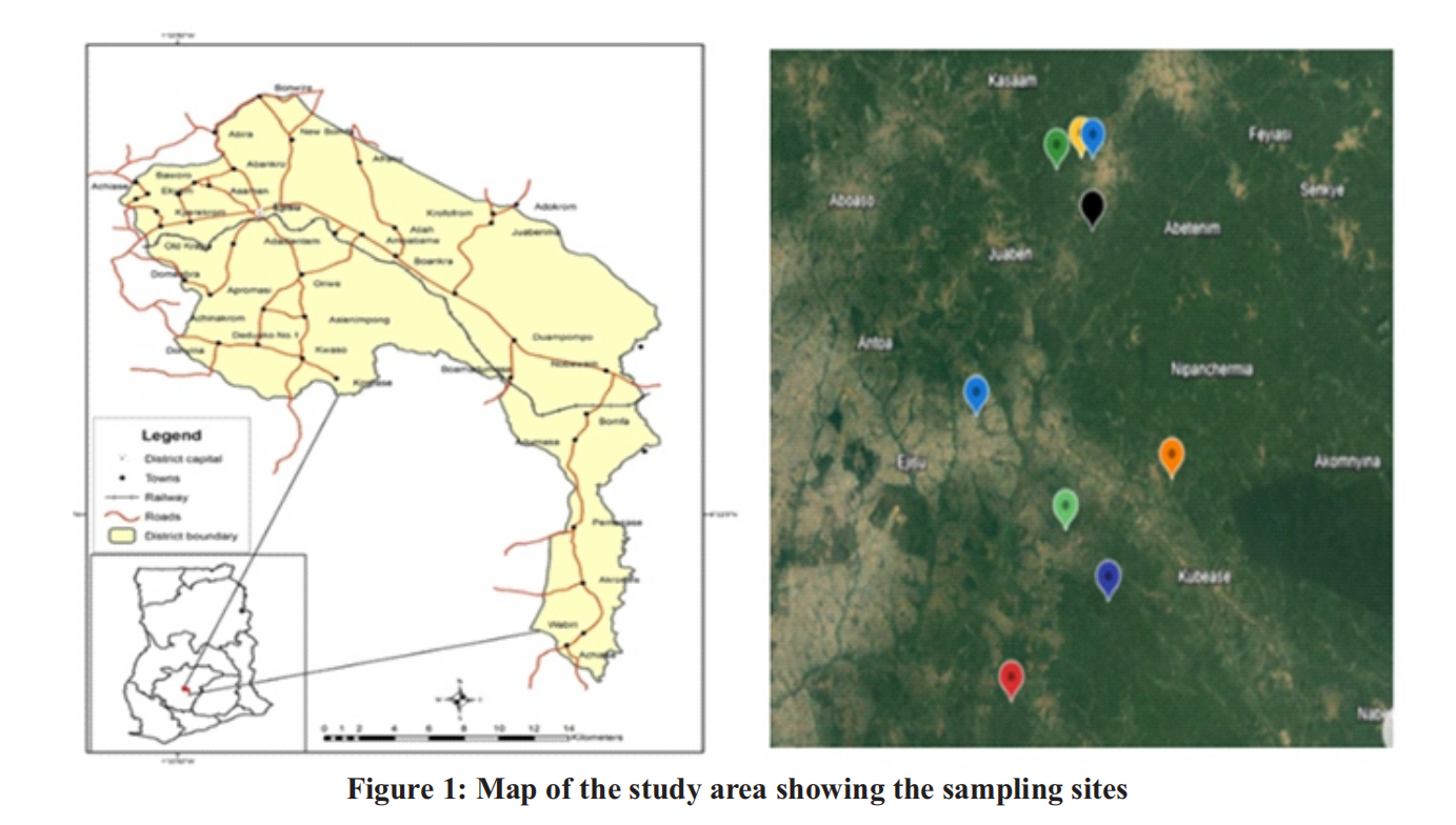 Prevalence of Gastrointestinal Parasites and Associated Haematological  Changes in Pigs in Ejisu-Juaben Municipality, Kumasi, Ghana