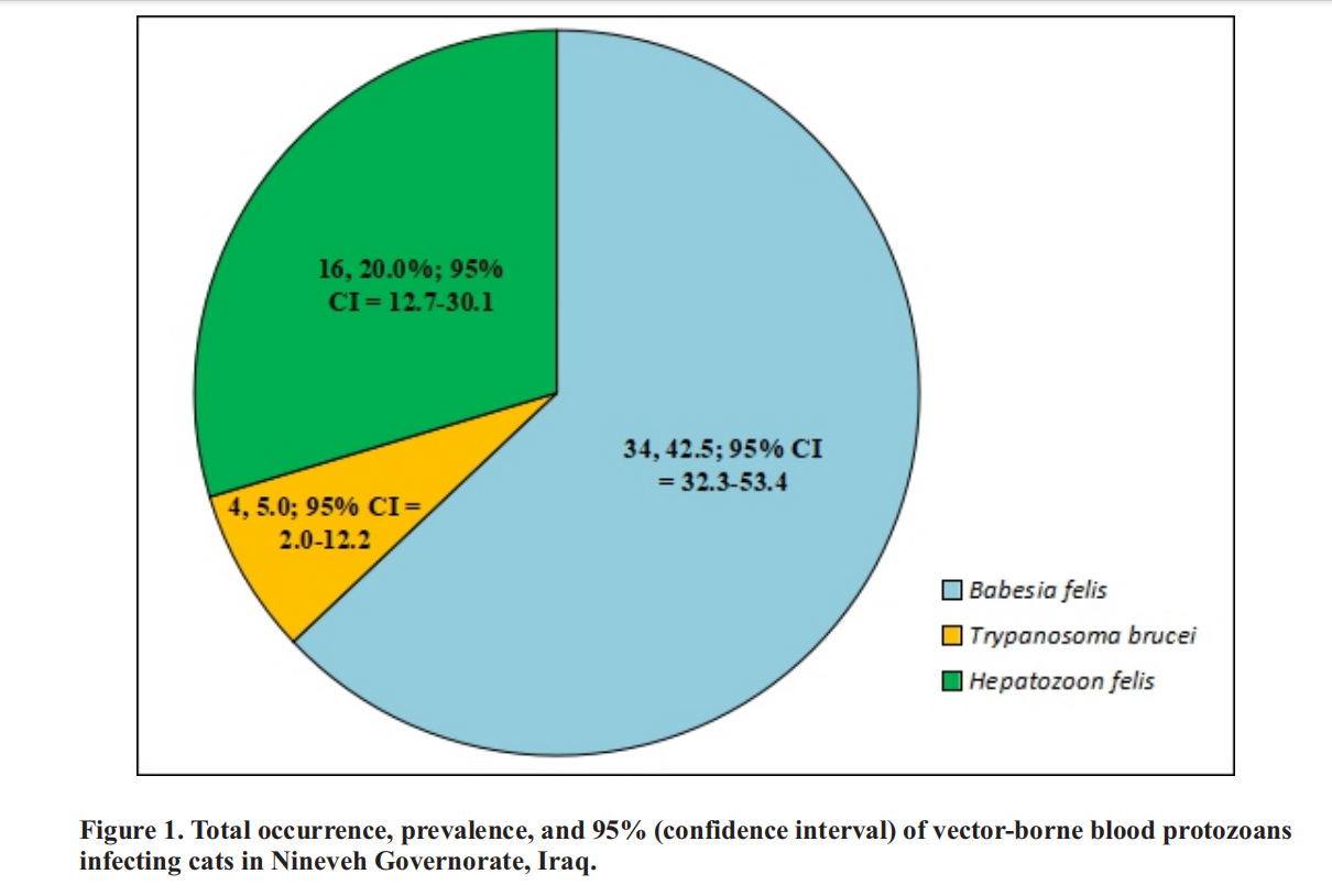 Detection, Prevalence, and Risk Factors Associated With Vector-Borne  Blood Protozoans of Cats in Nineveh Governorate, Iraq