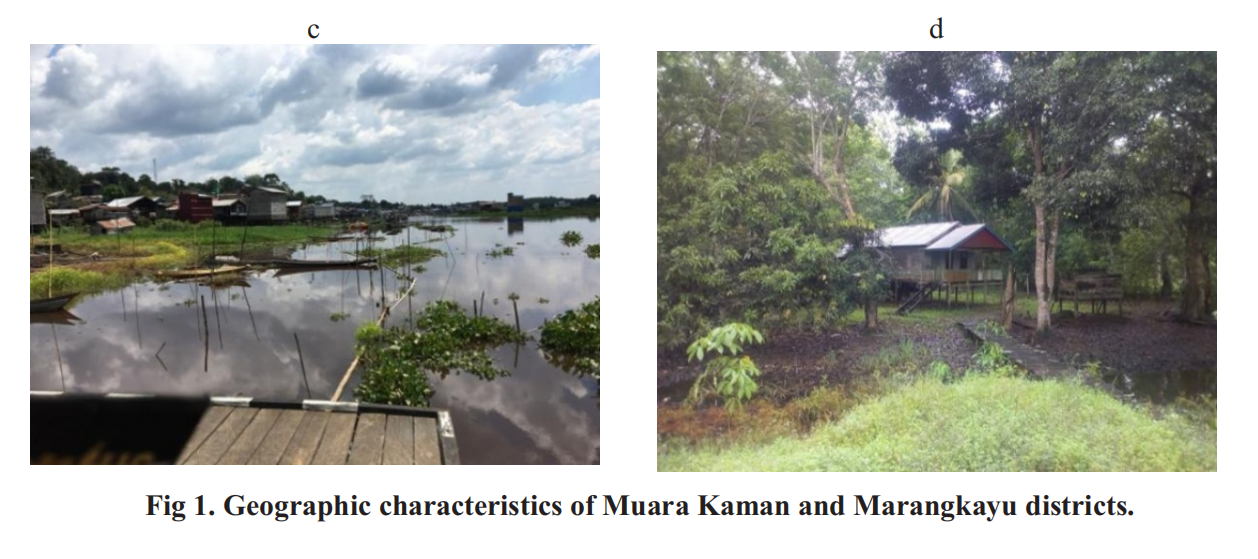 Prevalence and Risk Factors of Hookworm and Strongyloides stercoralis Co-Infection in Rural Communities of East Kalimantan Province,  Indonesia.